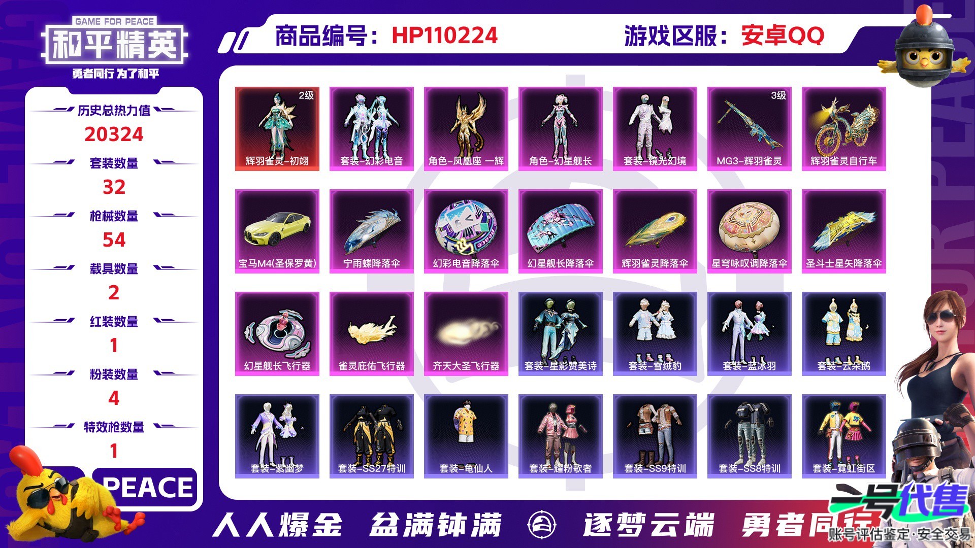 HP110224