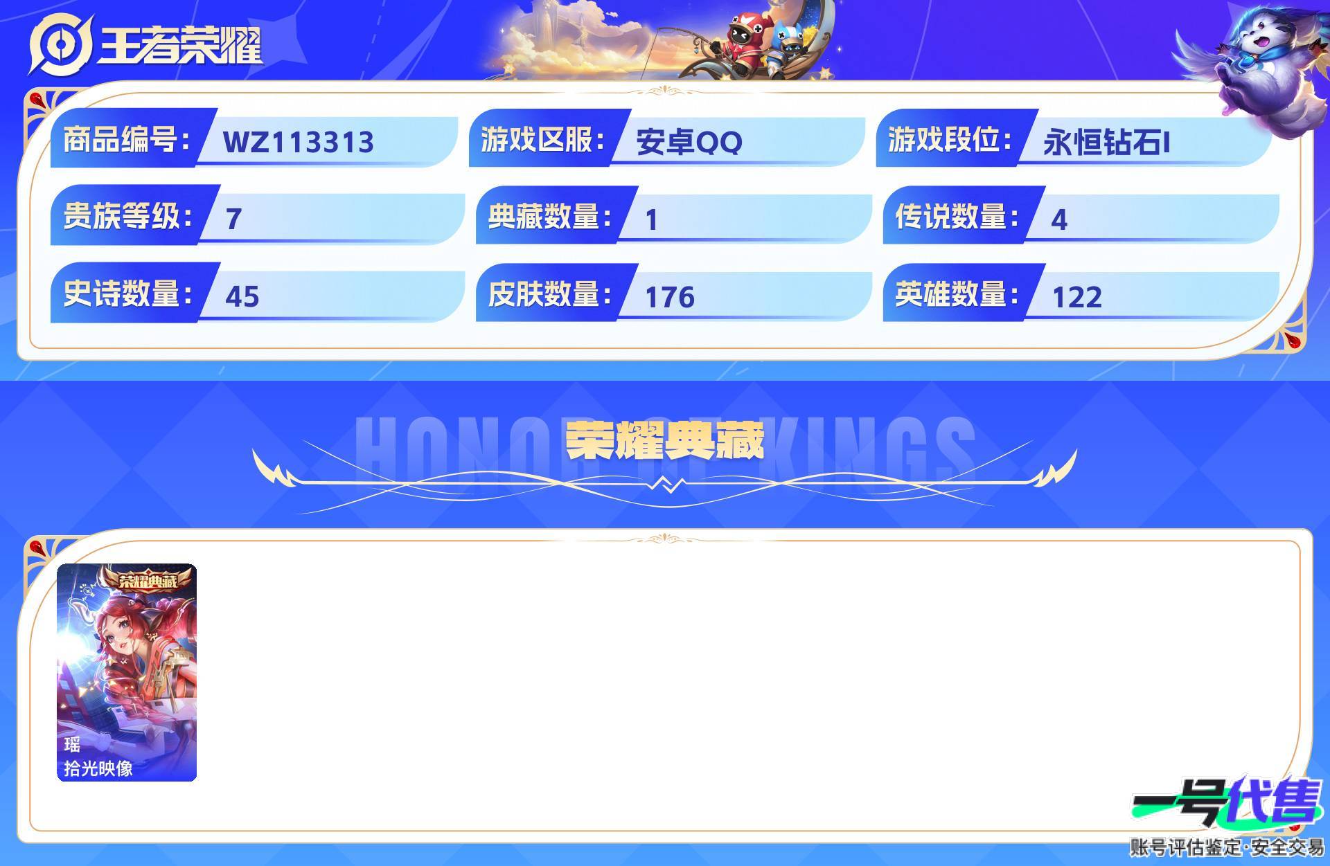 WZ113313