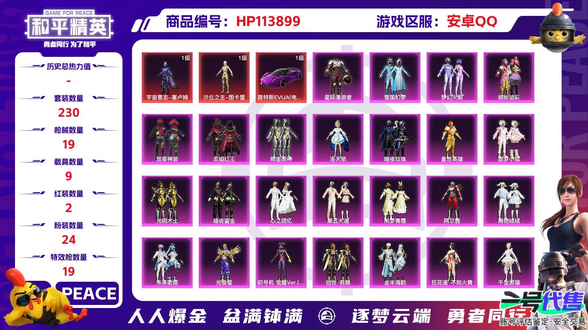 HP113899